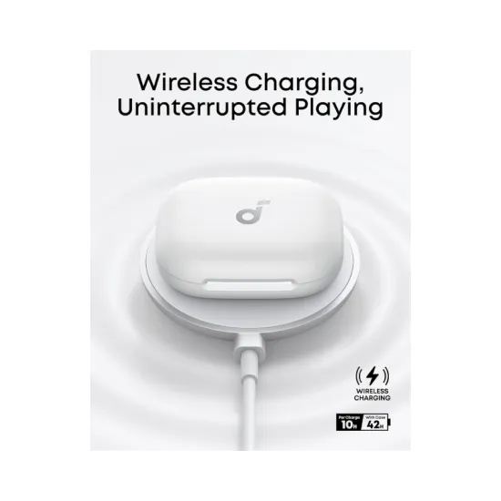 Digitus Polica fiksna 10 1U 44x254x150 mm crna