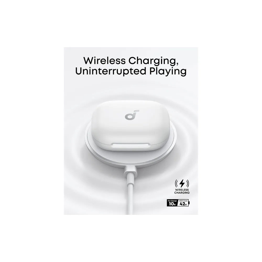 Digitus Polica fiksna 10 1U 44x254x150 mm crna