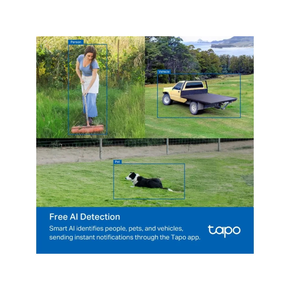 TP-LINK TAPO C501GW Outdoor Pan/Tilt 4G LTE Camera , 1080P Full HD, IP66, AI, 360 degree