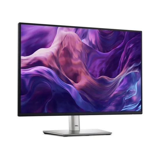 24 inch P2425 100Hz Professional IPS monitor