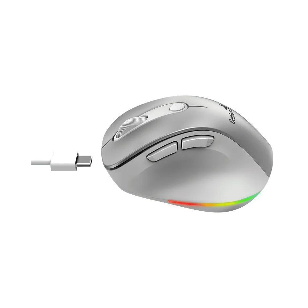 Ergo 9000S Pro Silver USB Bežični sivi miš