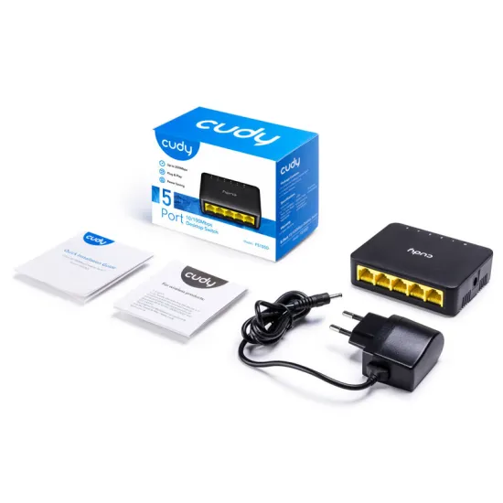 FS105D 5port switch