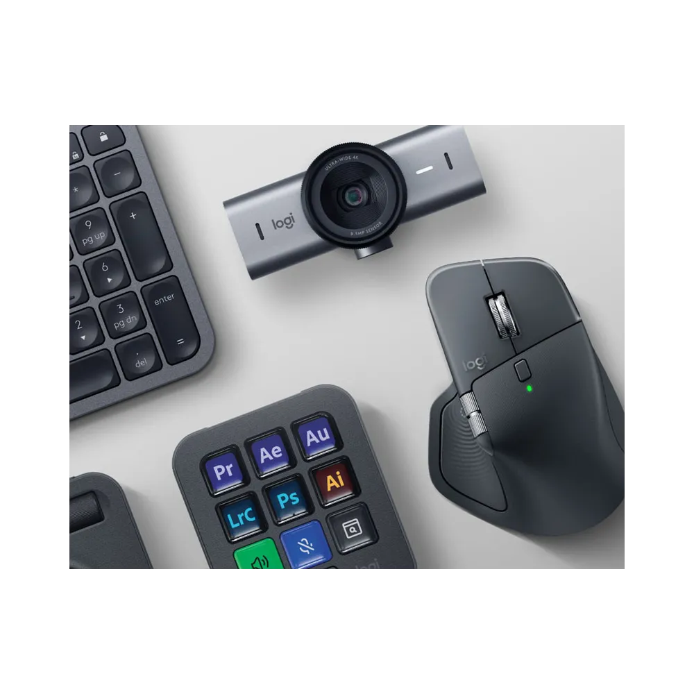 MX Master 4 for Business Graphite