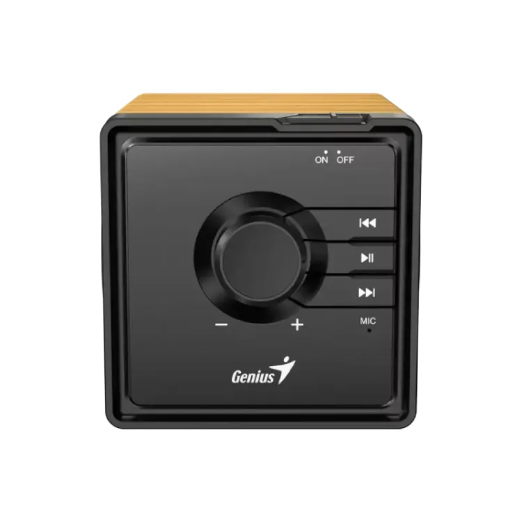SP-916BT Pine Wood Bluetooth zvučnik