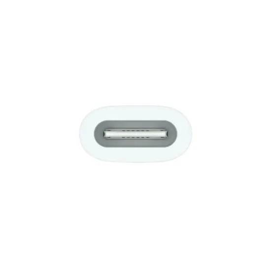 USB-C to Apple Pencil Adapter (mwml3zm/a )
