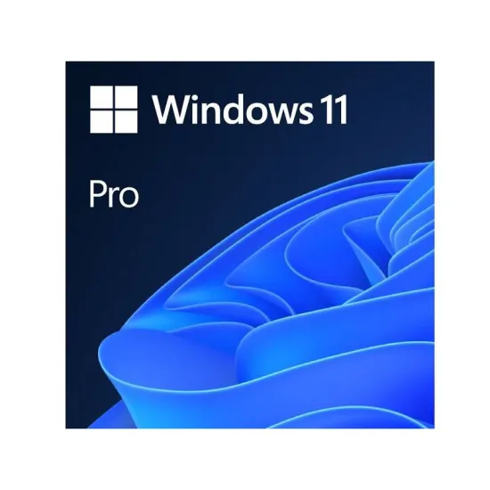 Windows 11 Pro Eng Intl OEM (FQC-10528)
