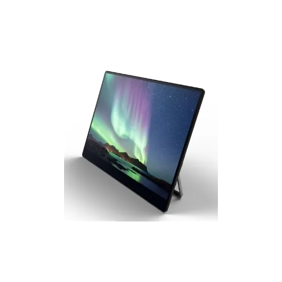 Ricoh Monitor 15.6 Portable 150BW, 1920×1080 (FHD), OLED panel, 60Hz, 1 ms, 100000:1, 300 cd/m², USB-C (DP Alt mode) ×2, wireles