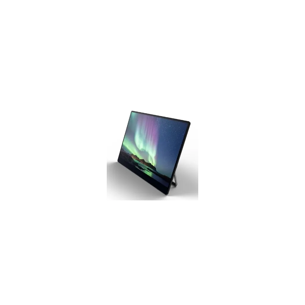 Ricoh Monitor 15.6 Portable 150BW, 1920×1080 (FHD), OLED panel, 60Hz, 1 ms, 100000:1, 300 cd/m², USB-C (DP Alt mode) ×2, wireles