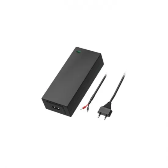 Teltonika EU 2-PIN POWER SUPPLY 62W for Teltonika TSW040, TSW200, TSW202, TSW212
