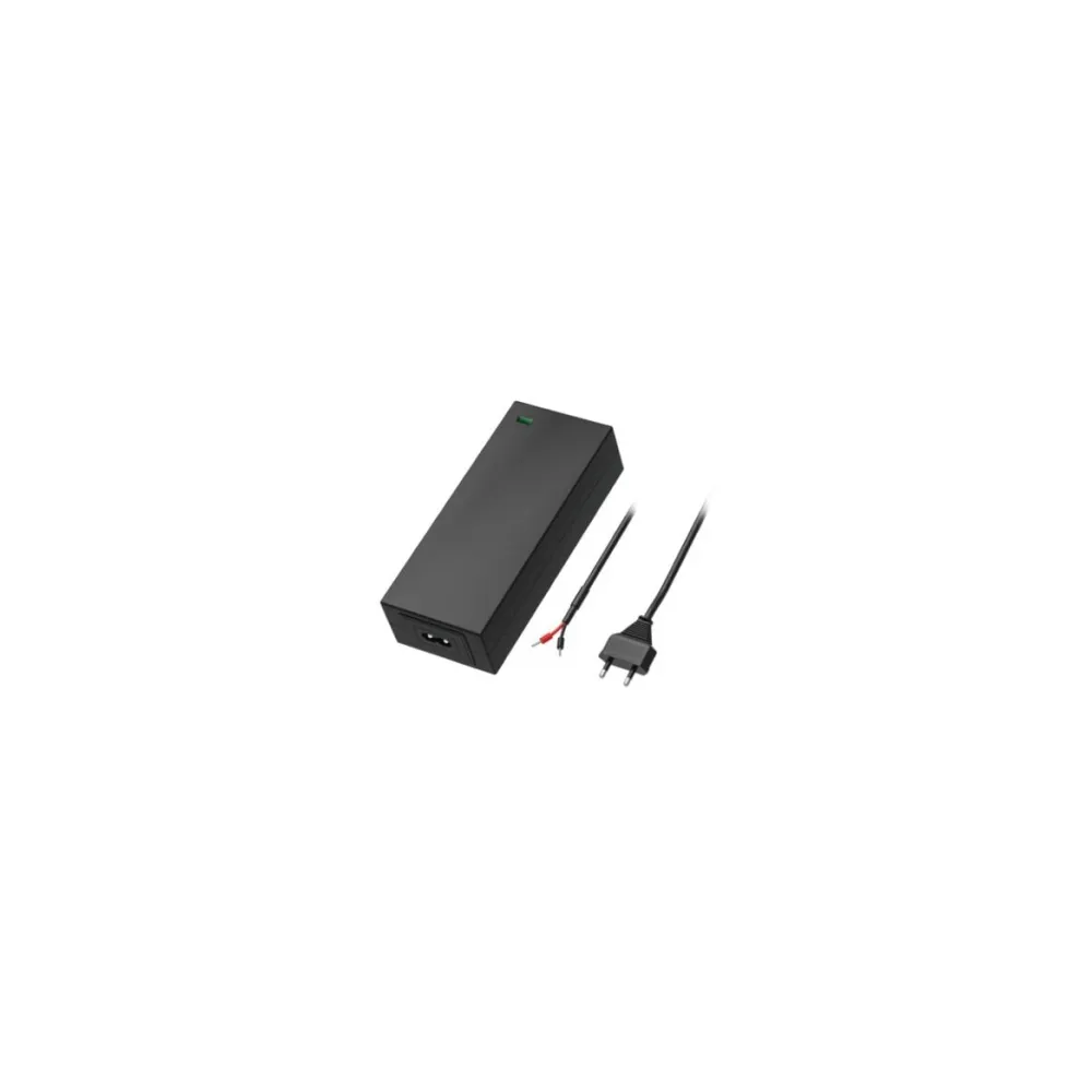 Teltonika EU 2-PIN POWER SUPPLY 62W for Teltonika TSW040, TSW200, TSW202, TSW212