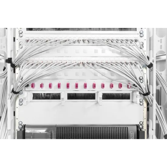 Digitus Blank panel za rack 19 , 2U, Sivi