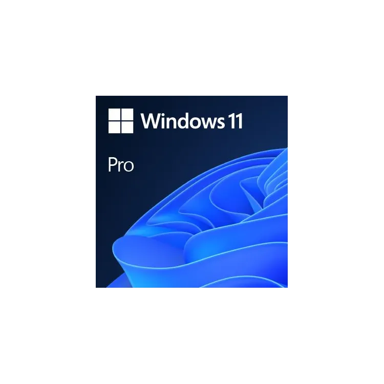 Microsoft OEM Windows 11 Pro Eng 64-bit, FQC-10528
