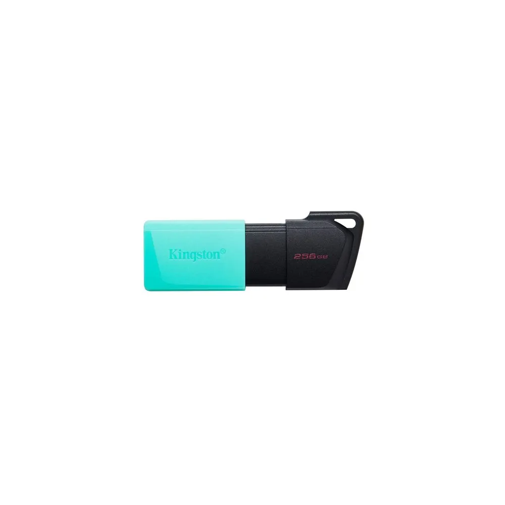 USB FD.256GB KINGSTON DTXM/256GB