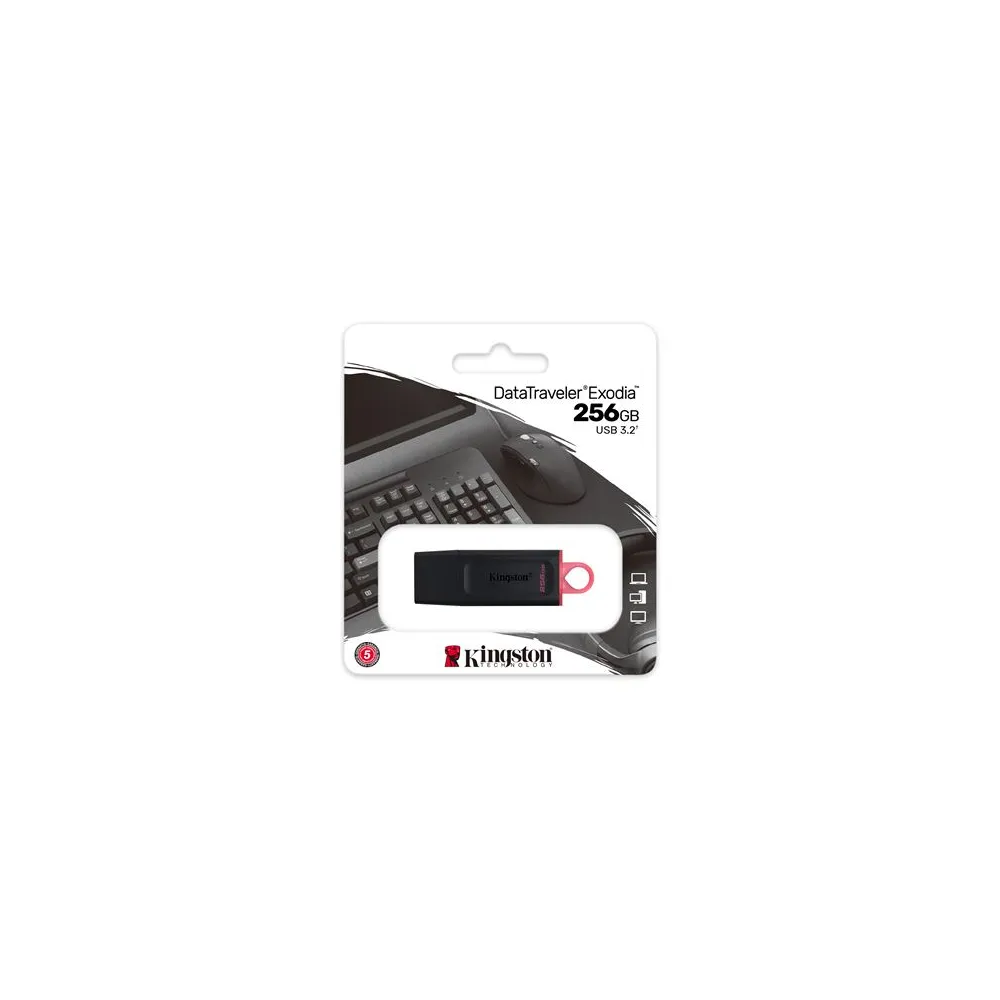 MEM UFD 256GB DTX KIN