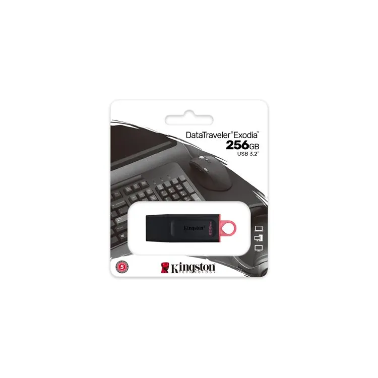 MEM UFD 256GB DTX KIN