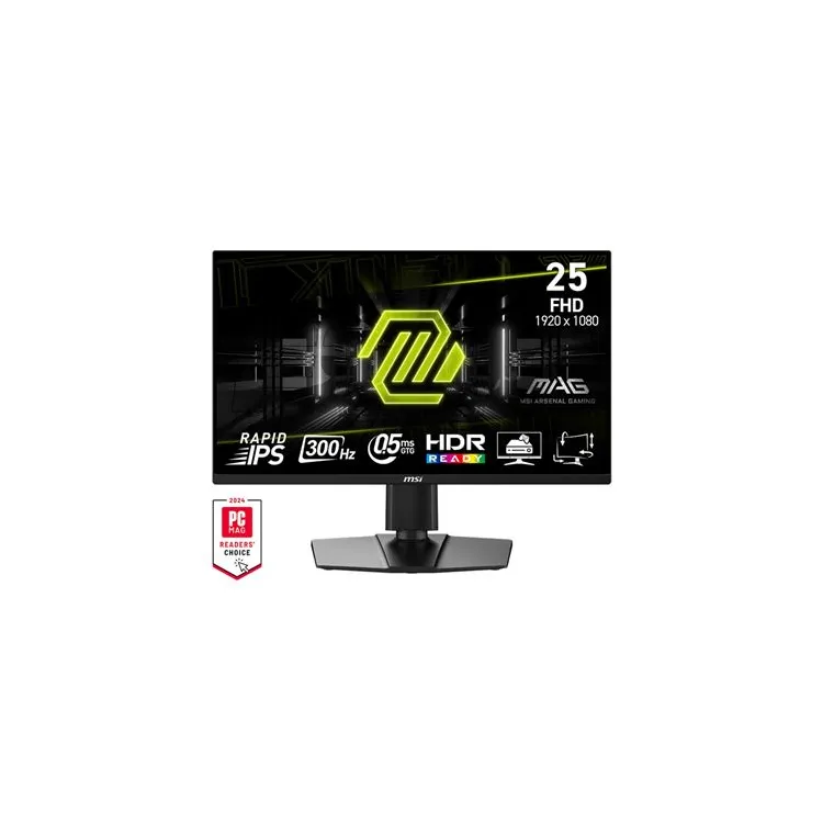 MON 25 MSI MAG 255PXF IPS 300Hz