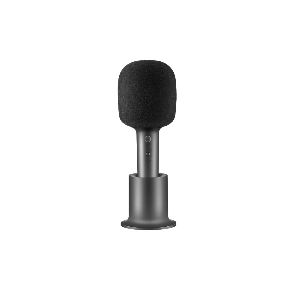 Karaoke Microphone (BHR6752GL)