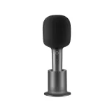 Karaoke Microphone (BHR6752GL)