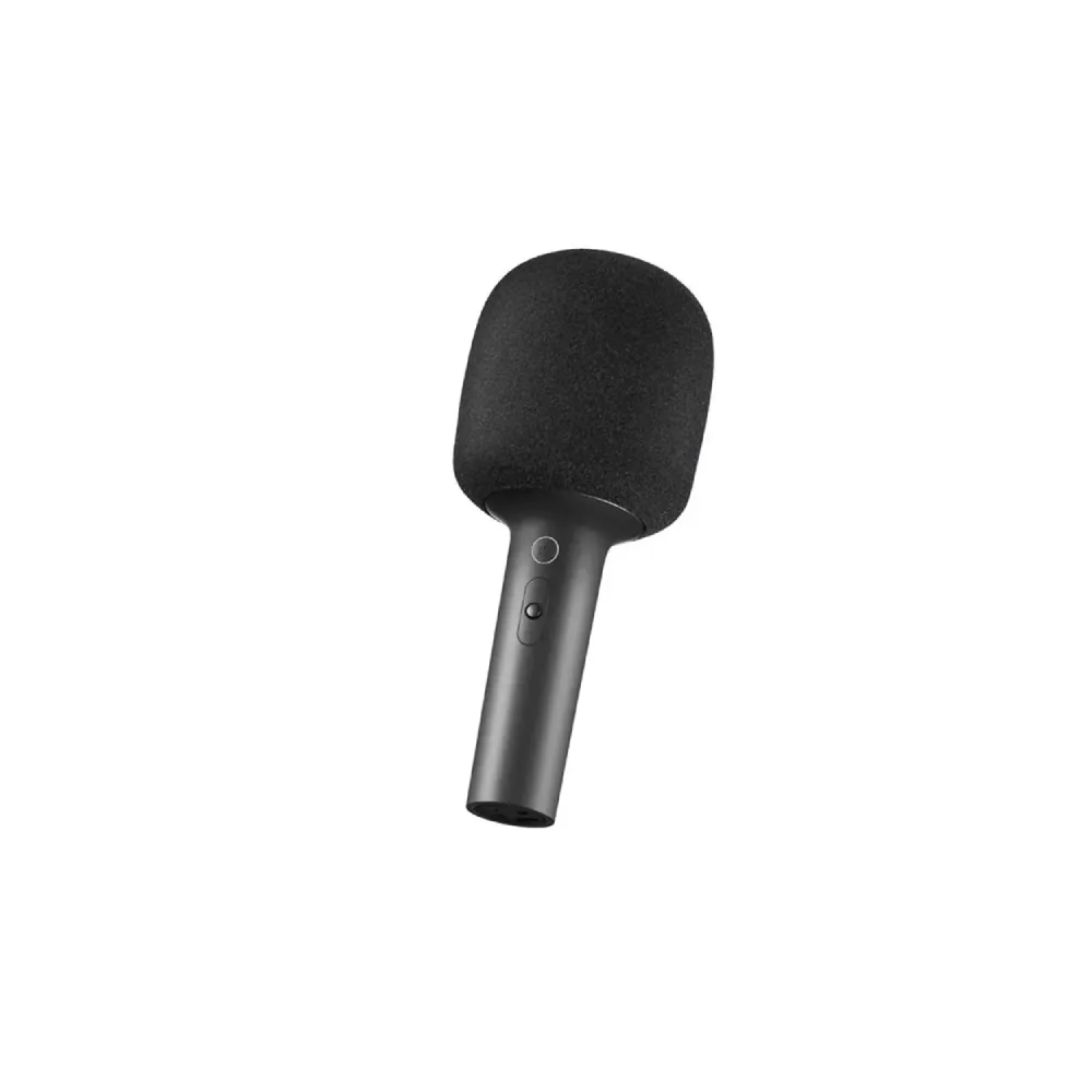 Karaoke Microphone (BHR6752GL)