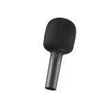 Karaoke Microphone (BHR6752GL)