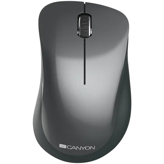CANYON Miš MW-11 2.4 GHz Wireless with 3 buttons DPI 120