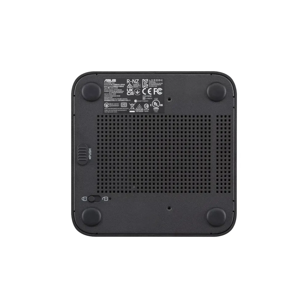 Mini PC PN54-BBR321MNS1 (Ryzen 3 210, Barebone)
