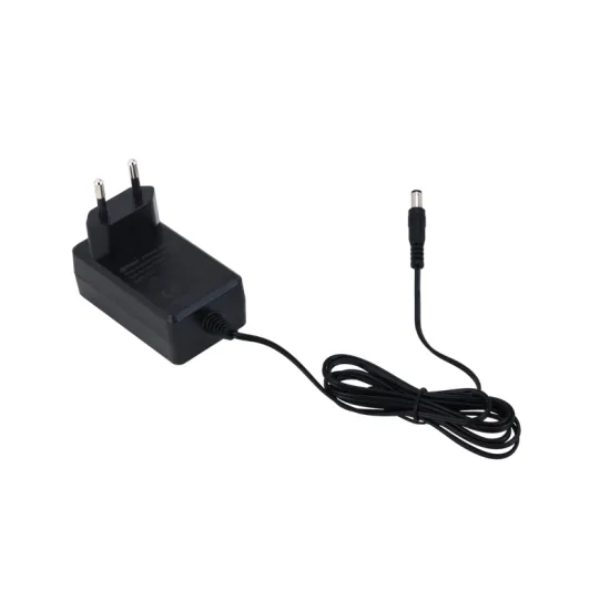 PFM320-020EN 12V DC 2A Power Adapter