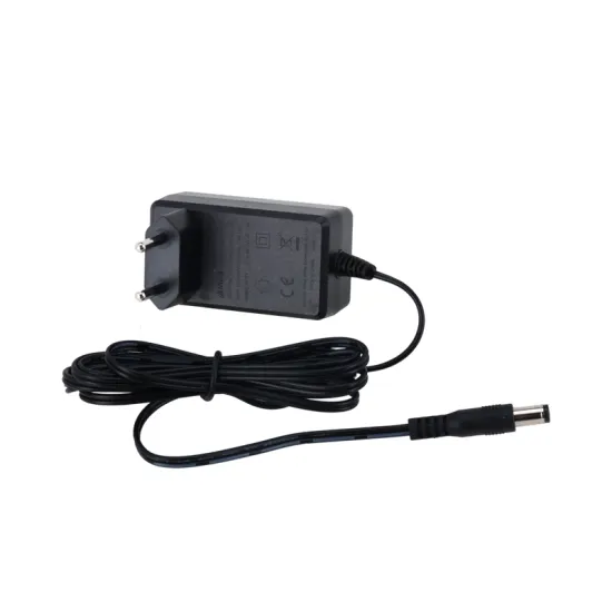 PFM320-020EN 12V DC 2A Power Adapter