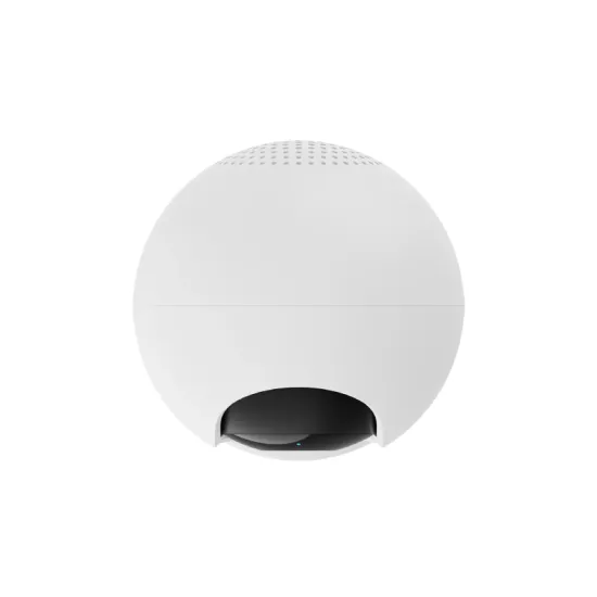Smart Camera C201 (BHR08NBGL)