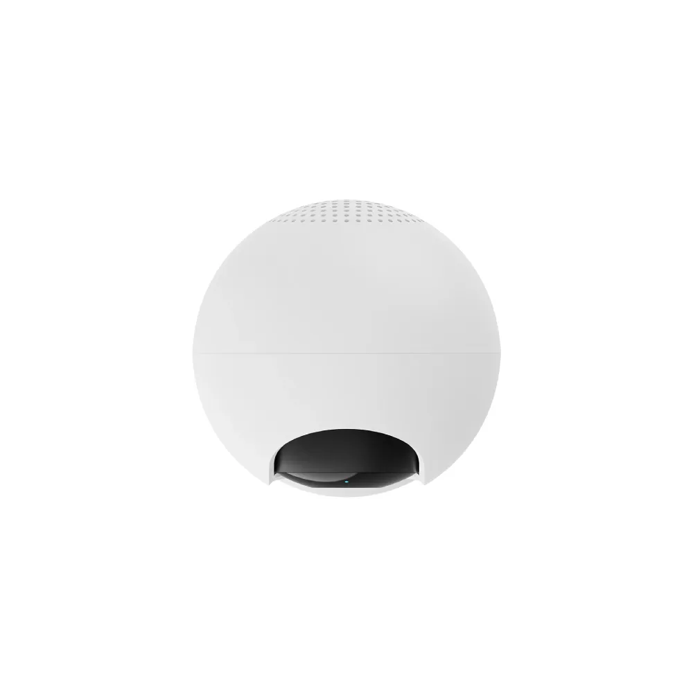 Smart Camera C201 (BHR08NBGL)
