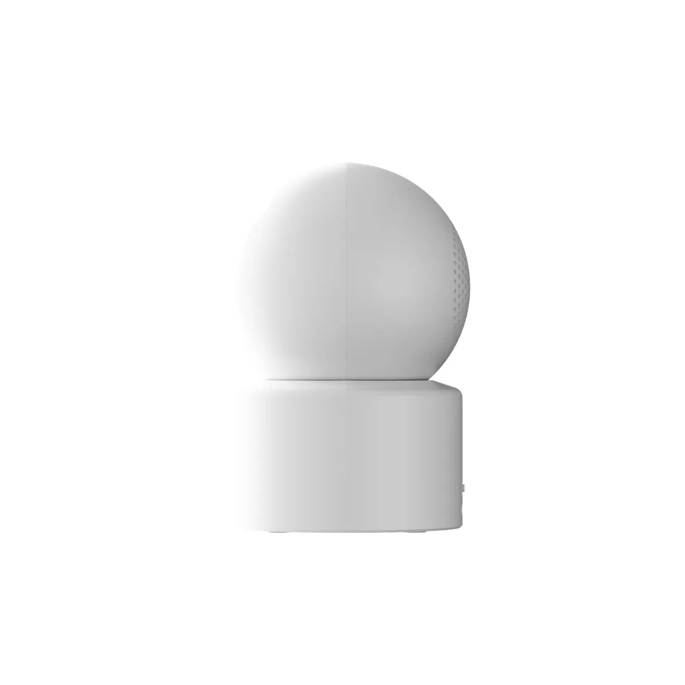 Smart Camera C302 (BHR08SVGL)