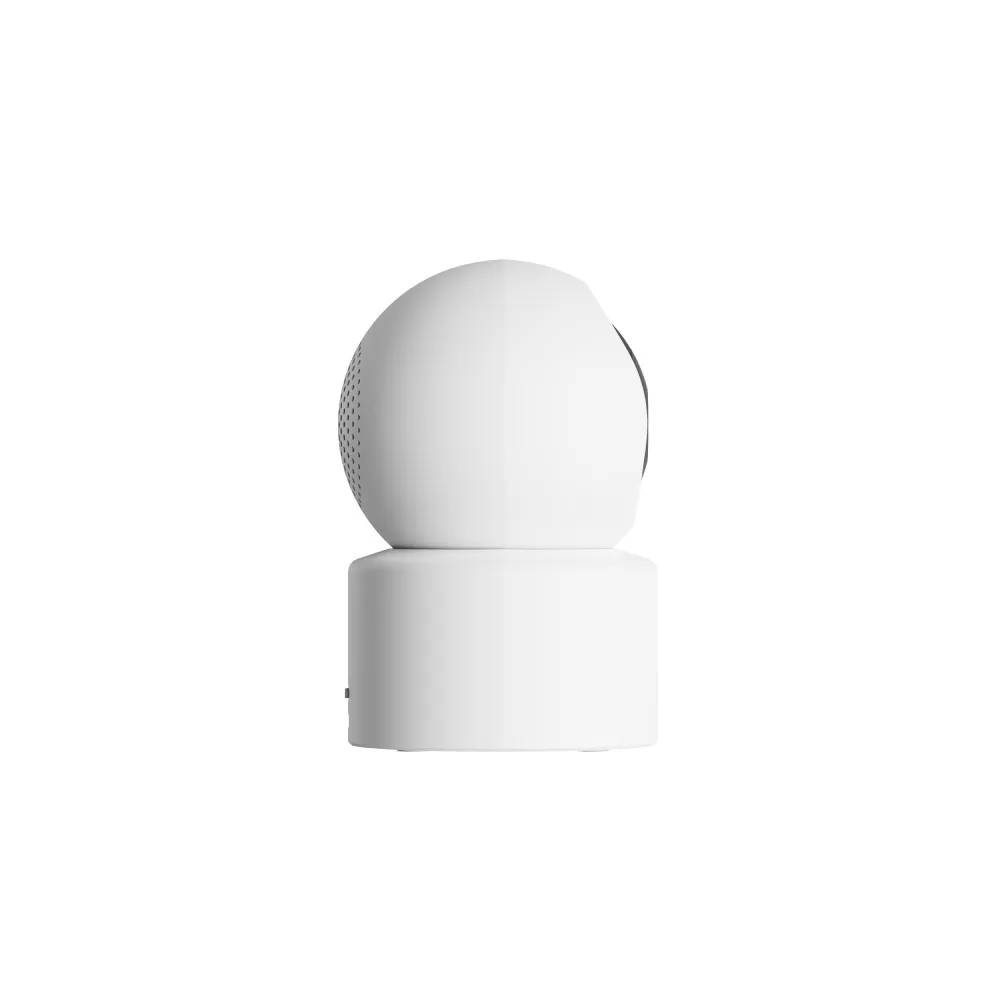 Smart Camera C302 (BHR08SVGL)