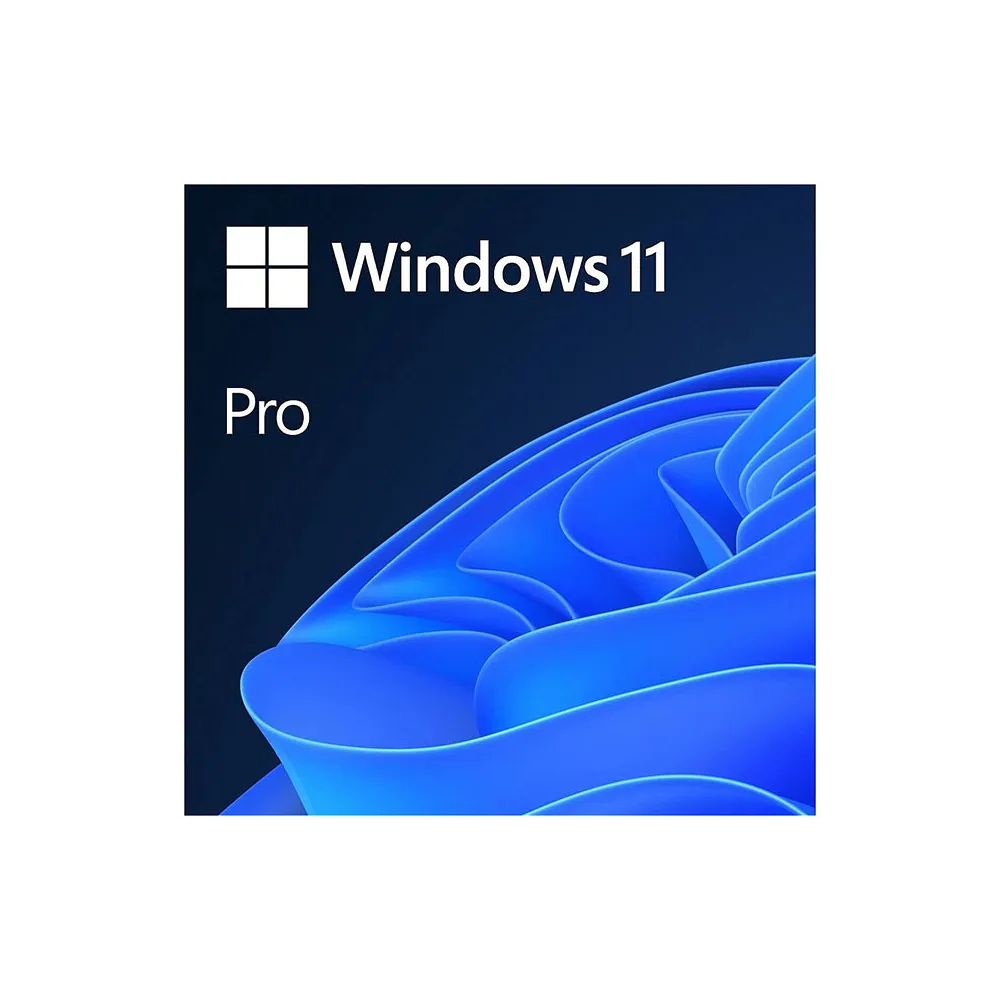 Windows 11 Pro FPP 64-bit (HAV-00164)