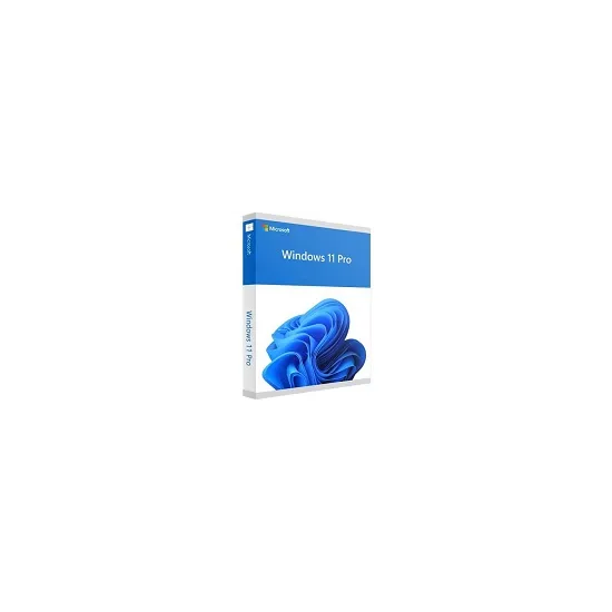 Win 11 Pro 64Bit Eng Intl 1pk DSP OEI DVD